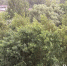 ВЛуки.ру - Vluki.Ru
