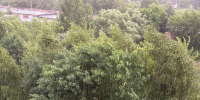 ВЛуки.ру - Vluki.Ru