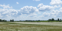 Фото: ПАИ - InformPskov.Ru