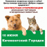 Бесплатная стерилизация. - Кичменгско-Городецкий муниципальный округ