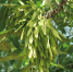 Федорин день 9 июня: главные запреты и приметы ради счастья и здоровья - Газета Городские вести