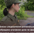 В Челябинске следователем регионального СКР возбуждено уголовное дело по факту непринятия мер к организации отлова безнадзорных собак - Следственный комитет
