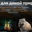 // Фото: vedomosti.ru/100vidov - Правительство Орловской области