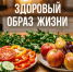 ЗОЖ без фанатизма: как постепенно изменить жизнь к лучшему - Народное слово