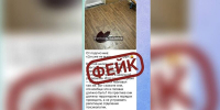 Фото: МЦУ Краснодар - ТК Краснодар