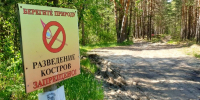 Запрет на посещение лесов в Тюменской области продлен до 28 июня - ГТРК Регион-Тюмень