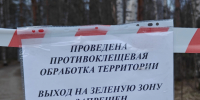 В Беломорске проводят обработку от клещей - StolicaOnego.Ru
