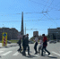 Аварийные деревья уберут с площади Калинина в Новосибирске - Gorsite.Ru