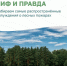 Вокруг лесных пожаров скопилось немало «мифов». Узнайте, где правда, где вымысел - Администрация Искитимского района