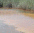 Почти 70% проб воды из водоемов Шахт не прошли проверку Роспотребнадзора - DonDay-Shakhty.Ru