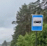 img - ЛДПР