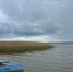 Будьте осторожны на воде - 64 параллель онлайн
