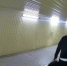 В Курске повредили семь камер системы «Безопасный город» - KurskTV.Ru