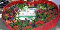 🌸🌺🌼 IV областной фестиваль «Цветы России»: праздник любви к родному краю - Дворец культуры