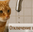 Отключение холодной воды - Администрация г. Бердск