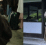 Сын Децла объяснил поведение на скандальном видео, где пытался выгнать мать из квартиры - M24.Ru