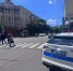 С начала года на Кубани под колеса транспорта попали более 500 человек - Югополис