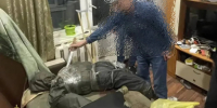 В Благовещенске женщина укусила мужчину за нос и чуть не погибла - ИА Порт Амур
