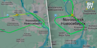 Самолет из Новокузнецка не смог во время приземлиться в Новосибирске из-за собаки - ГТРК Кузбасс