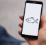 fish app 1 090626 - Газета Магаданская правда