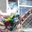 Летний свадебный сезон 2026 - ЗАГС