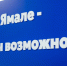 Фото: Фёдор Воронов / «Ямал-Медиа» - Красный Север