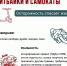 С какими рисками можно столкнуться в каникулы? - Центр дополнительного образования
