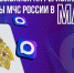 Жители Ульяновской могут узнавать о надвигающихся чрезвычайных ситуациях в мессенджере MAX📲. - Администрация г. Димитровград