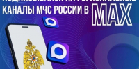 Жители Ульяновской могут узнавать о надвигающихся чрезвычайных ситуациях в мессенджере MAX📲. - Администрация г. Димитровград