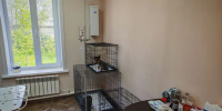В Углегорске открылся круглосуточный стационар для временного содержания домашних питомцев - Агентство ветеринарии и племенного животноводства