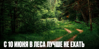 С 10 июня в леса Липецкой области ограничат вход и въезд - Газета Задонская правда