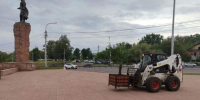Ещё четырнадцать пальм появились в городском пространстве Красноярска - Газета Красноярский рабочий