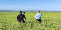 Специалисты оценили состояние посевов в двух районах Ингушетии - Сердало