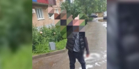 Сметанный нацист - 24Krasnodar.Ru