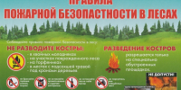 Памятка по правилам пожарной безопасности в лесах в пожароопасный период - Сосновоборский район