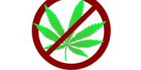 Вниманию землевладельцев и землепользователей. - Губкинский городской округ