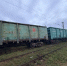 В Оренбуржье два вагона с металлом сошли с рельсов - Orenburg.Media