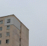 Фото: PRIMPRESS | Базовая ипотека становится драйвером рынка жилья – Домклик - PrimPress.Ru