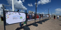На набережной Амура в Благовещенске открыли фотовыставку ТАСС в честь юбилея города - ИА Порт Амур