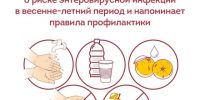 Меры профилактики энтеровирусной инфекции в летний период года. - Михайловский район