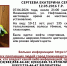 Полиция и волонтеры ищут 10-летнюю девочку в Нижневартовске - tvspb.ru - ТК Санкт-Петербург