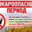 ЛЕСНОЙ ПОЖАР: Причины возникновения и правила поведения при обнаружении. - Северо-Енисейский муниципальный округ