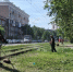 Сергей Шелест рассказал о летнем содержании города. - Администрация города