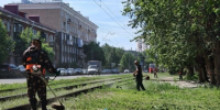 Сергей Шелест рассказал о летнем содержании города. - Администрация города