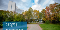 Работа в округах - Город Мурманск