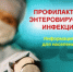 Рекомендации по профилактике ЭВИ в период сезонного подъема - Рузский городской округ