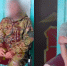 Два жителя Кимовска позвали знакомого жарить шашлык и отобрали телефон - ТК Первый Тульский