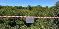 В Курске объявили войну ядовитому вредителю - Друг для Друга