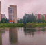 7-IMG20260609062742.jpg - Ozersk74.Ru