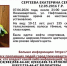 Полиция и волонтеры в Нижневартовске ищут пропавшую 10-летнюю девочку - ИА СИА-Пресс